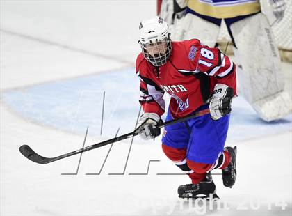 Thumbnail 2 in E.O. Smith/Tolland vs. Newtown (CIAC DIII Final) photogallery.