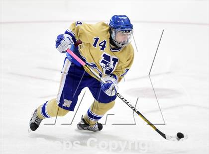 Thumbnail 3 in E.O. Smith/Tolland vs. Newtown (CIAC DIII Final) photogallery.