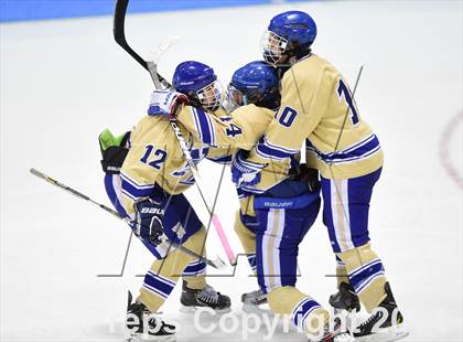 Thumbnail 1 in E.O. Smith/Tolland vs. Newtown (CIAC DIII Final) photogallery.