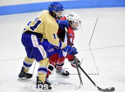 Thumbnail 1 in E.O. Smith/Tolland vs. Newtown (CIAC DIII Final) photogallery.