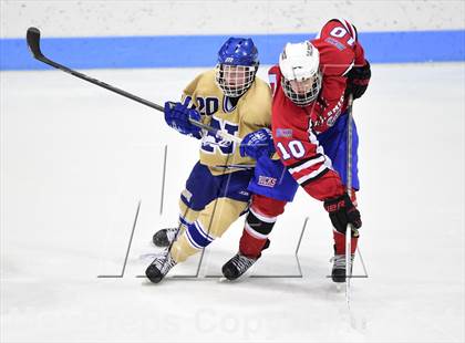 Thumbnail 3 in E.O. Smith/Tolland vs. Newtown (CIAC DIII Final) photogallery.