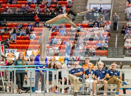 Thumbnail 3 in UIL 6A Swimming & Diving Finals (Diving) photogallery.