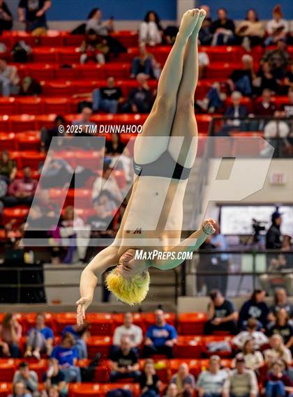 Thumbnail 1 in UIL 6A Swimming & Diving Finals (Diving) photogallery.