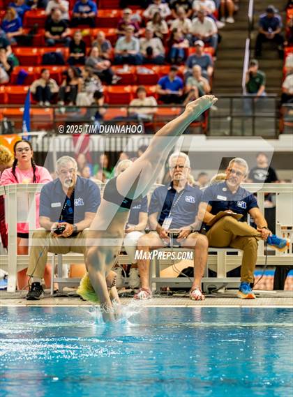 Thumbnail 1 in UIL 6A Swimming & Diving Finals (Diving) photogallery.