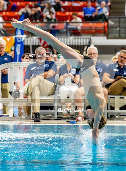 Thumbnail 3 in UIL 6A Swimming & Diving Finals (Diving) photogallery.