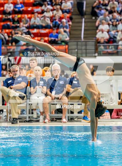 Thumbnail 2 in UIL 6A Swimming & Diving Finals (Diving) photogallery.