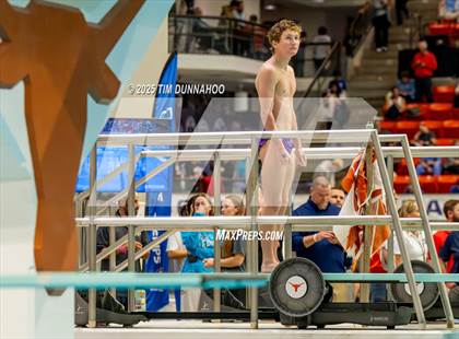 Thumbnail 1 in UIL 6A Swimming & Diving Finals (Diving) photogallery.