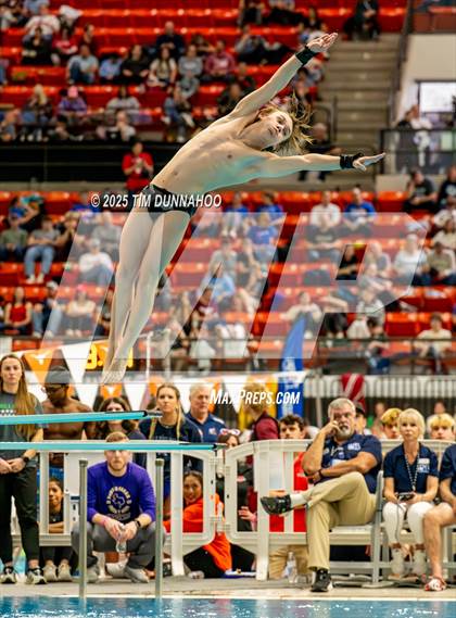 Thumbnail 1 in UIL 6A Swimming & Diving Finals (Diving) photogallery.