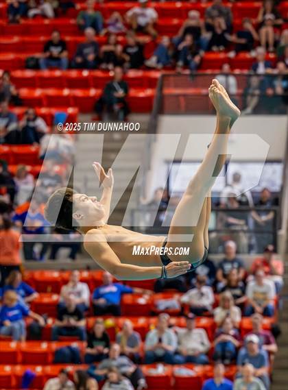 Thumbnail 3 in UIL 6A Swimming & Diving Finals (Diving) photogallery.