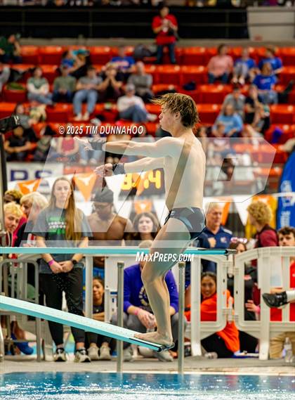 Thumbnail 3 in UIL 6A Swimming & Diving Finals (Diving) photogallery.