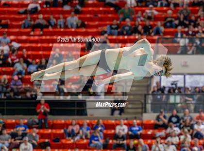 Thumbnail 1 in UIL 6A Swimming & Diving Finals (Diving) photogallery.