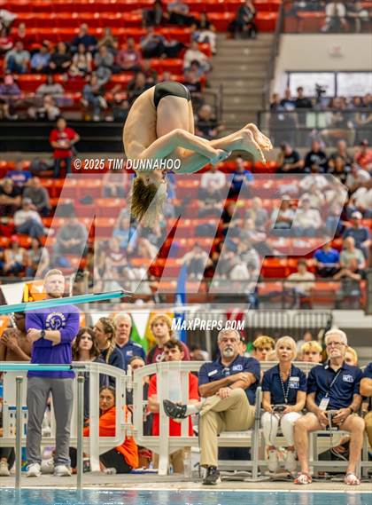 Thumbnail 1 in UIL 6A Swimming & Diving Finals (Diving) photogallery.