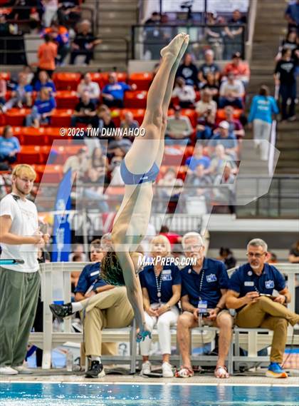 Thumbnail 1 in UIL 6A Swimming & Diving Finals (Diving) photogallery.