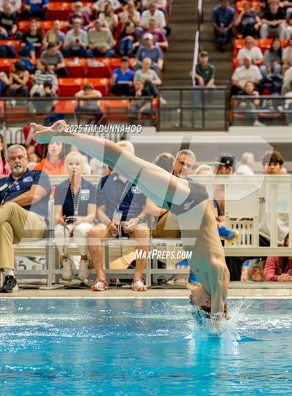 Thumbnail 1 in UIL 6A Swimming & Diving Finals (Diving) photogallery.