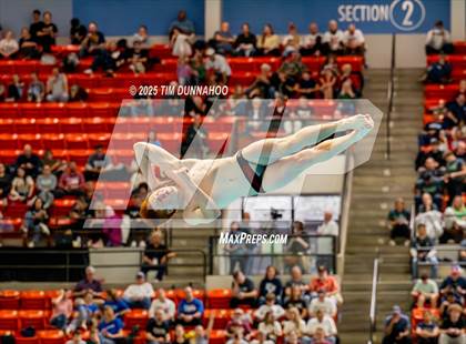 Thumbnail 1 in UIL 6A Swimming & Diving Finals (Diving) photogallery.