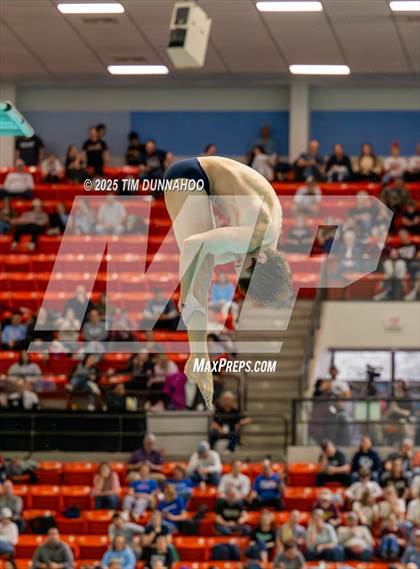 Thumbnail 1 in UIL 6A Swimming & Diving Finals (Diving) photogallery.