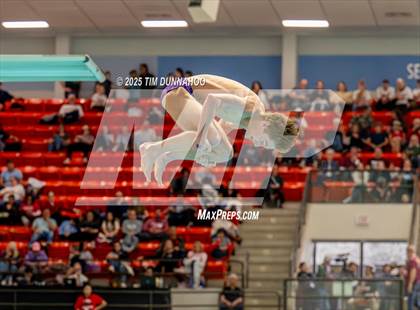 Thumbnail 3 in UIL 6A Swimming & Diving Finals (Diving) photogallery.