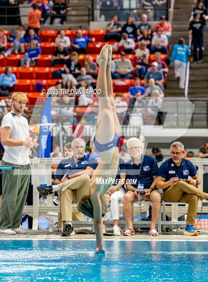 Thumbnail 2 in UIL 6A Swimming & Diving Finals (Diving) photogallery.