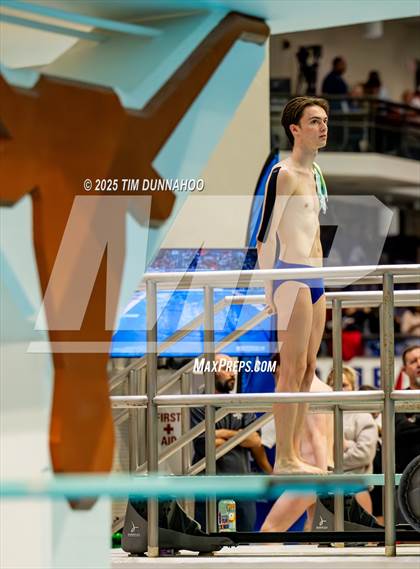 Thumbnail 2 in UIL 6A Swimming & Diving Finals (Diving) photogallery.