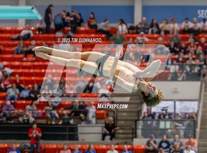 Thumbnail 2 in UIL 6A Swimming & Diving Finals (Diving) photogallery.
