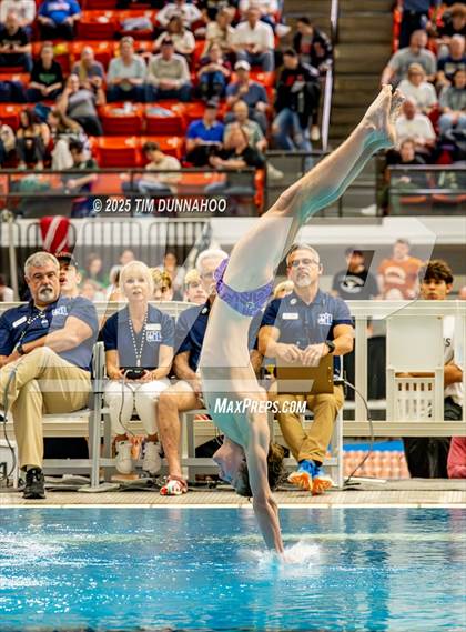 Thumbnail 1 in UIL 6A Swimming & Diving Finals (Diving) photogallery.