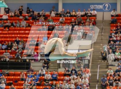 Thumbnail 3 in UIL 6A Swimming & Diving Finals (Diving) photogallery.