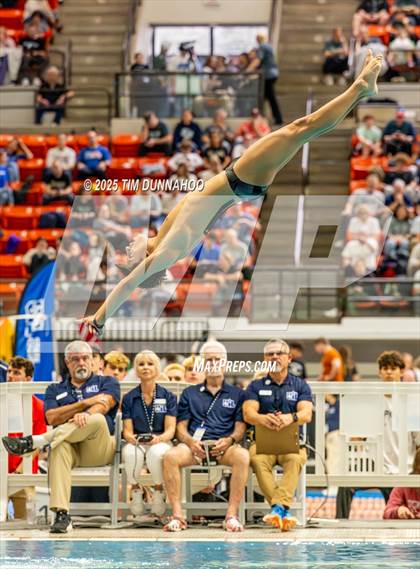 Thumbnail 1 in UIL 6A Swimming & Diving Finals (Diving) photogallery.