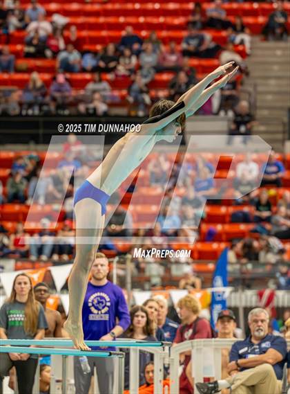 Thumbnail 3 in UIL 6A Swimming & Diving Finals (Diving) photogallery.