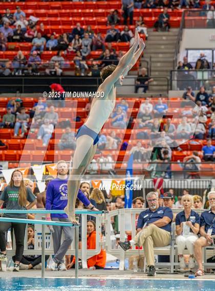 Thumbnail 2 in UIL 6A Swimming & Diving Finals (Diving) photogallery.
