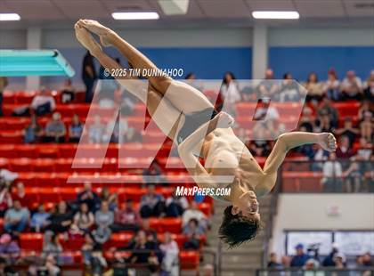 Thumbnail 1 in UIL 6A Swimming & Diving Finals (Diving) photogallery.