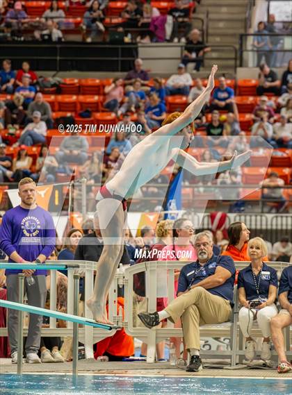 Thumbnail 3 in UIL 6A Swimming & Diving Finals (Diving) photogallery.