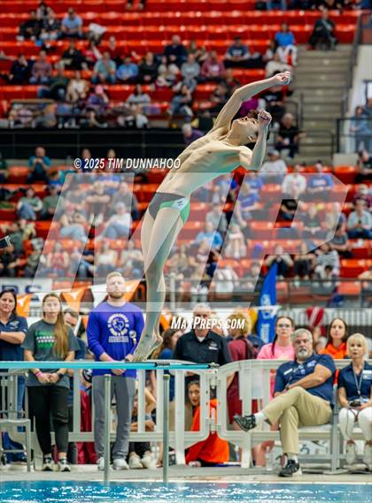 Thumbnail 1 in UIL 6A Swimming & Diving Finals (Diving) photogallery.