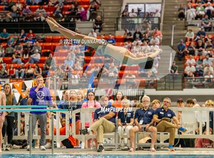 Thumbnail 2 in UIL 6A Swimming & Diving Finals (Diving) photogallery.