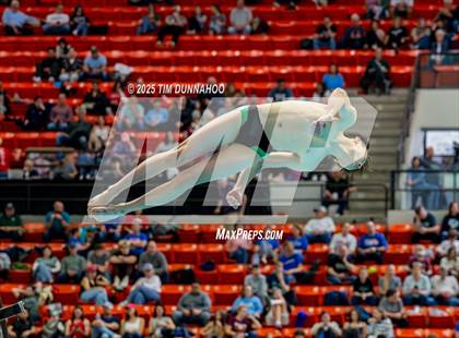 Thumbnail 2 in UIL 6A Swimming & Diving Finals (Diving) photogallery.