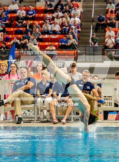 Thumbnail 2 in UIL 6A Swimming & Diving Finals (Diving) photogallery.