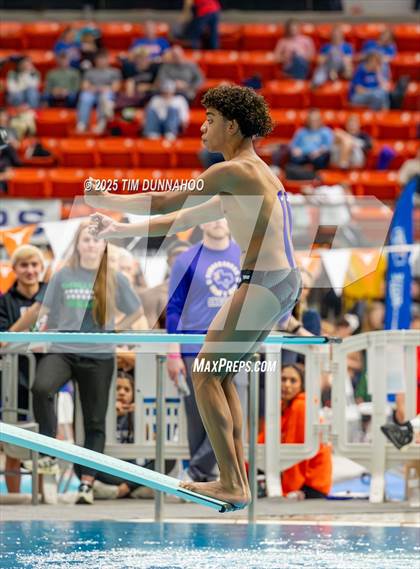 Thumbnail 2 in UIL 6A Swimming & Diving Finals (Diving) photogallery.
