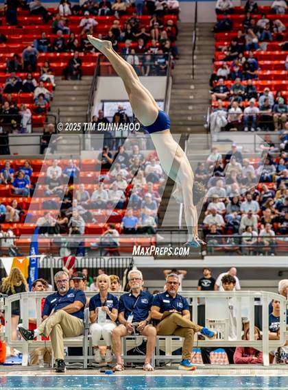 Thumbnail 1 in UIL 6A Swimming & Diving Finals (Diving) photogallery.