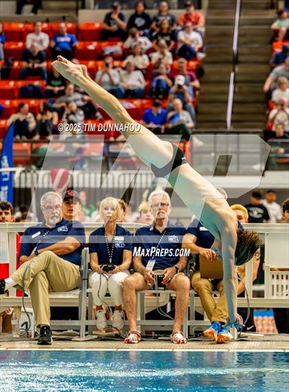Thumbnail 3 in UIL 6A Swimming & Diving Finals (Diving) photogallery.