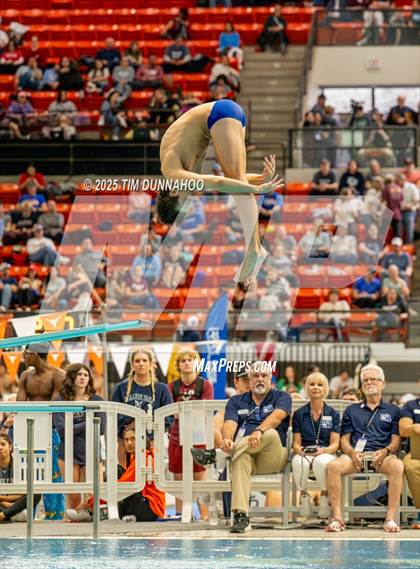 Thumbnail 2 in UIL 6A Swimming & Diving Finals (Diving) photogallery.