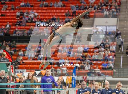 Thumbnail 3 in UIL 6A Swimming & Diving Finals (Diving) photogallery.