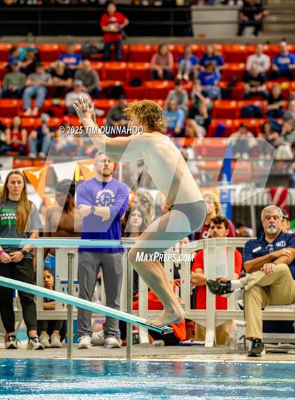 Thumbnail 3 in UIL 6A Swimming & Diving Finals (Diving) photogallery.