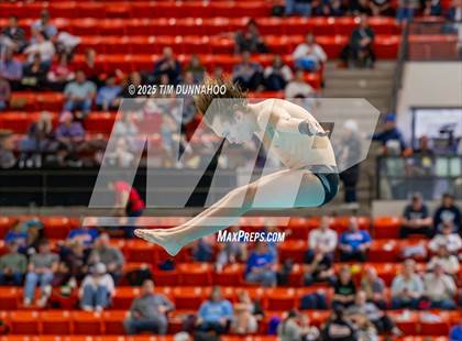Thumbnail 1 in UIL 6A Swimming & Diving Finals (Diving) photogallery.