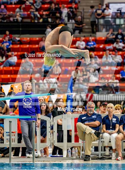 Thumbnail 2 in UIL 6A Swimming & Diving Finals (Diving) photogallery.