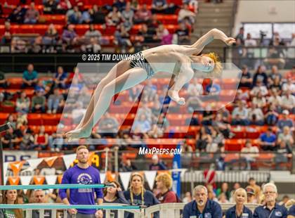 Thumbnail 3 in UIL 6A Swimming & Diving Finals (Diving) photogallery.