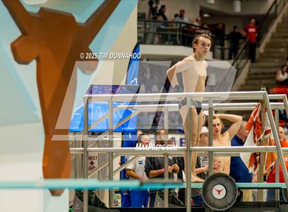 Thumbnail 3 in UIL 6A Swimming & Diving Finals (Diving) photogallery.