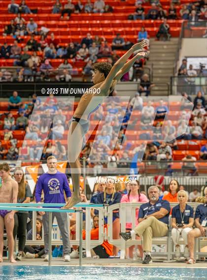 Thumbnail 2 in UIL 6A Swimming & Diving Finals (Diving) photogallery.
