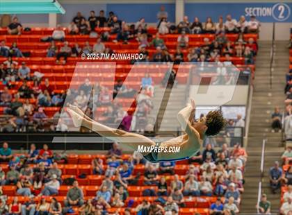 Thumbnail 1 in UIL 6A Swimming & Diving Finals (Diving) photogallery.