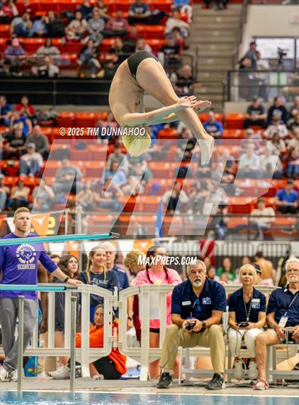 Thumbnail 2 in UIL 6A Swimming & Diving Finals (Diving) photogallery.
