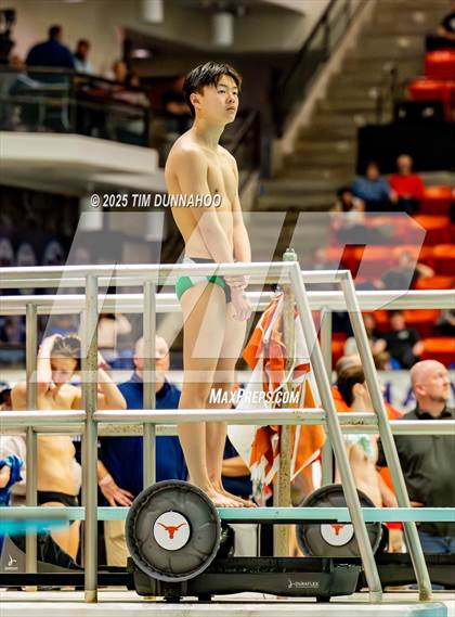 Thumbnail 3 in UIL 6A Swimming & Diving Finals (Diving) photogallery.