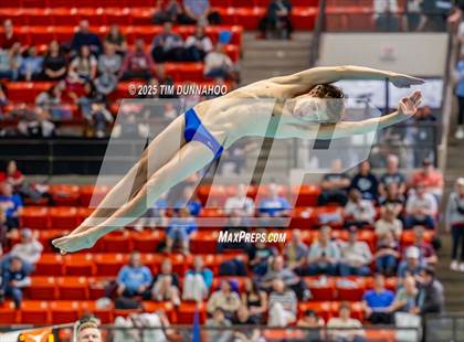 Thumbnail 3 in UIL 6A Swimming & Diving Finals (Diving) photogallery.